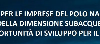 Webinar “Bandi e collaborazione con Polo Nazionale della Dimensione Subacquea (PNS)”