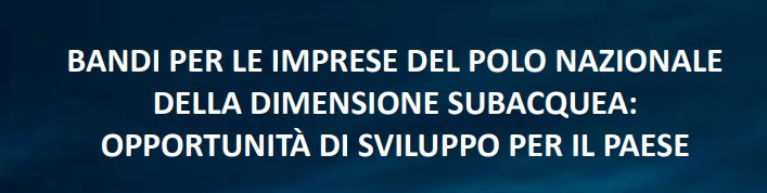 Webinar “Bandi e collaborazione con Polo Nazionale della Dimensione Subacquea (PNS)”